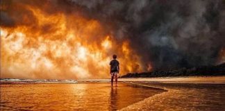 Tragédias na Amazônia e na Austrália deixam uma certeza: Nossos hábitos estão destruindo o planeta