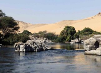 Água de esgoto é usada para cultivar 500 acres de floresta no meio do deserto egípcio