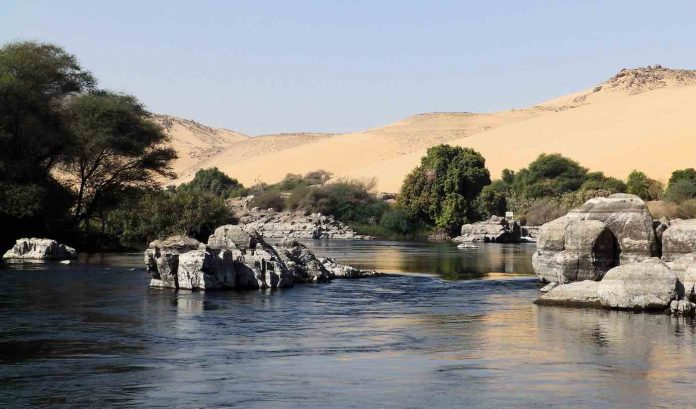 Água de esgoto é usada para cultivar 500 acres de floresta no meio do deserto egípcio