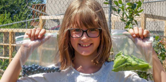 Com apenas 9 anos, ela  cultiva horta em casa para alimentar moradores de rua.