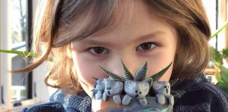 Vendendo coalas de argila, garotinho arrecada 200 mil para ajudar a Austrália