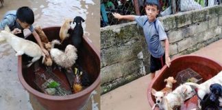 Menino de 10 anos usou balde de plástico para salvar animais durante inundação