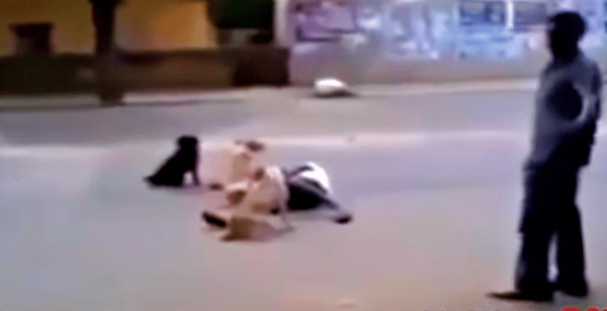 contioutra.com - Morador de rua desmaia e &eacute; protegido por seus c&atilde;es: &lsquo;Ningu&eacute;m podia toc&aacute;-lo&rsquo;