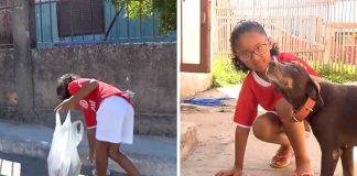 Menina de 7 anos recolhe latinhas para comprar comida para cachorros de rua Menina de 7 anos recolhe latinhas para comprar comida para cachorros de rua