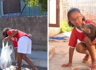 Menina de 7 anos recolhe latinhas para comprar comida para cachorros de rua