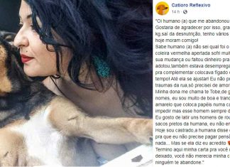 ‘Carta’ de cão resgatado para dono que o abandonou faz sucesso na web: ‘Agradeço por ter me deixado’