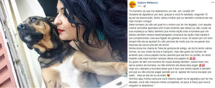‘Carta’ de cão resgatado para dono que o abandonou faz sucesso na web: ‘Agradeço por ter me deixado’