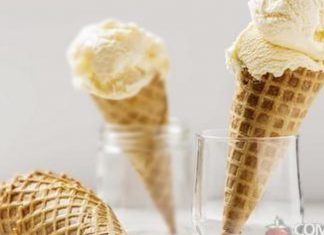 Aluna da USP cria sorvete mais saudável com cera de carnaúba e óleo vegetal