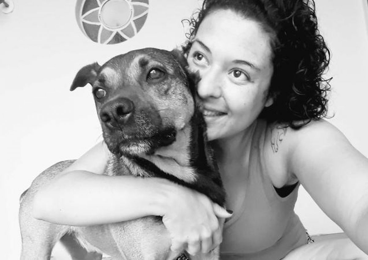 contioutra.com - 'Carta' de cão resgatado para dono que o abandonou faz sucesso na web: 'Agradeço por ter me deixado'