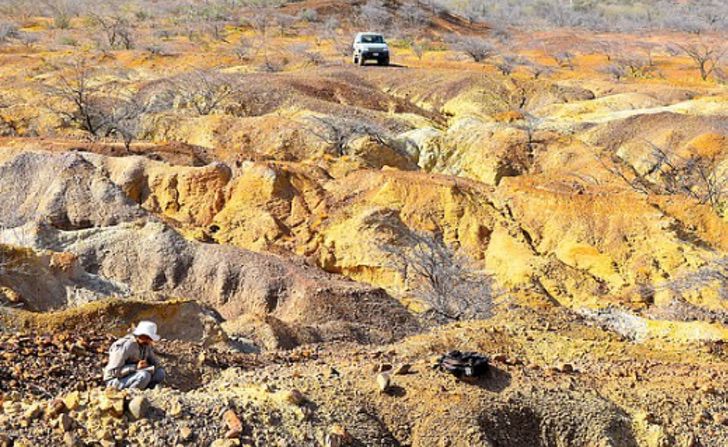 contioutra.com - Casco gigante de tartaruga pré-histórica foi encontrado na América do Sul.