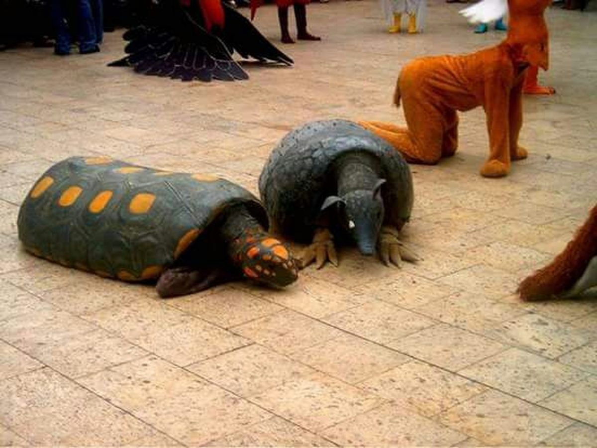 contioutra.com - Em município no Pará, crianças trouxeram encanto ao Carnaval fantasiadas de animais da floresta