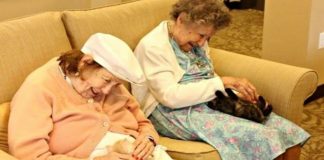 Vovôs e vovós de Vovôs e vovós de asilo se unem a abrigo de animais para cuidarem uns dos outros se unem a abrigo de animais para cuidarem uns dos outros