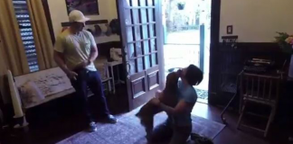 Depois de um ano separados, astronauta e cachorrinha finalmente se reencontram. Confira!