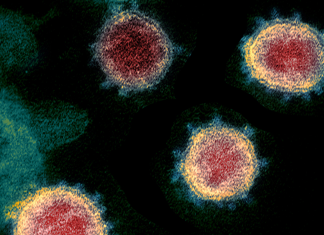 Em 48h, pesquisadores brasileiros sequenciam genoma do coronavírus presente no Brasil.