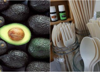 Empresa mexicana transforma semente de abacate em canudos e outros utensílios