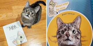 “Conheça Maya”, novo livro sobre respeito e inclusão inspirado numa gatinha com Síndrome de Down