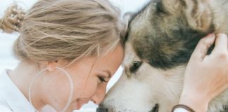 A terapia pet: o amor incondicional aos humanos!