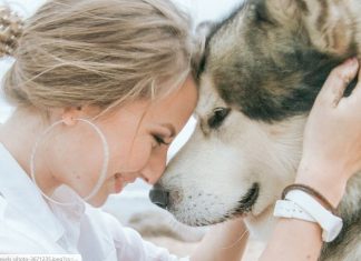 A terapia pet: o amor incondicional aos humanos!