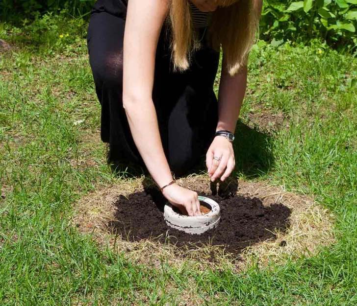 contioutra.com - Urna transforma as cinzas dos animais de estimação em árvores a serem cultivadas.