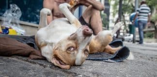 Campanhas pedem para população ofertar água e alimentos a quem vive em situação de rua