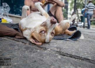 Campanhas pedem para população ofertar água e alimentos a quem vive em situação de rua