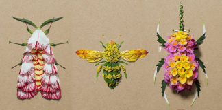 Artista molda insetos com pétalas de diferenciadas flores. Uma arte peculiar e linda!