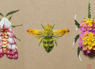 Artista molda insetos com pétalas de diferenciadas flores. Uma arte peculiar e linda!