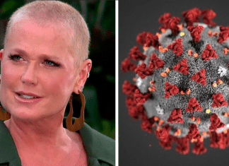 Coronavírus: Xuxa Meneghel doará R$ 1 milhão ao SUS
