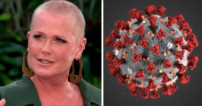 Coronavírus: Xuxa Meneghel doará R$ 1 milhão ao SUS