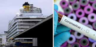Coronavírus: Dois navios de cruzeiro serão transformados em hospitais no Reino Unido.