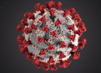 Estudo comprova que coronavírus não foi criado em laboratório e descarta “teoria da conspiração” chinesa