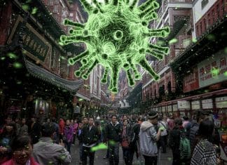 Coronavírus: o risco individual de não pensar no coletivo