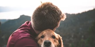 Lutar pelos animais não significa menosprezar as pessoas Lutar pelos animais não significa menosprezar as pessoas