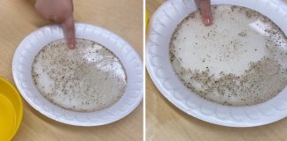 Professora mostra importância de lavar as mãos a partir de experiência com detergente. Veja o vídeo!