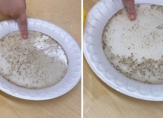 Professora mostra importância de lavar as mãos a partir de experiência com detergente. Veja o vídeo!