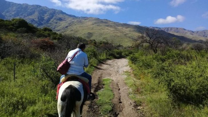 contioutra.com - Enfermeiro viaja com seu cavalo para vacinar idosos que vivem nas montanhas.