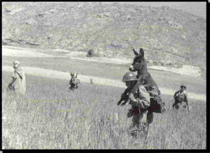 contioutra.com - A verdadeira história do soldado que carregava o burro nas costas