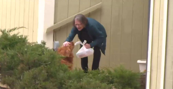 contioutra.com - Idosa recebe ajuda de cãozinho durante isolamento; ele entrega as compras dela toda semana
