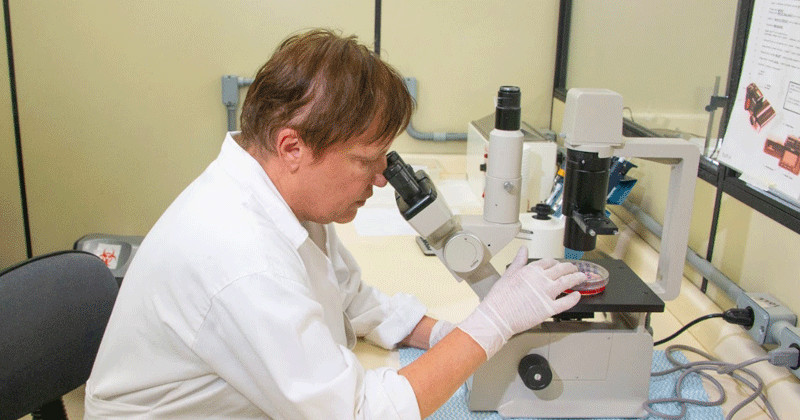 contioutra.com - Terapia gen&eacute;tica usa adenov&iacute;rus modificado para reduzir em at&eacute; 80% tumor de pulm&atilde;o