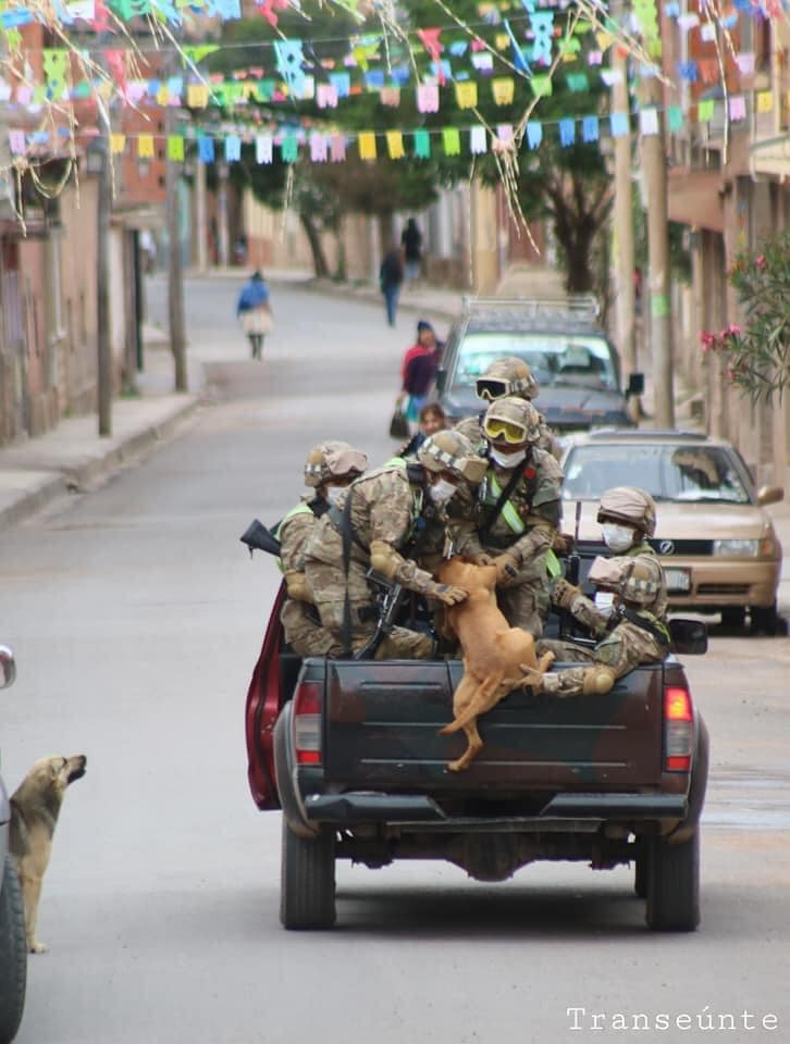 contioutra.com - Cachorros de rua buscam amor correndo atrás carro de militares em quarentena e são adotados