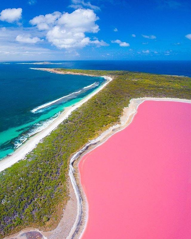 contioutra.com - Conheça o fenômeno que deixa esse lago na Austrália cor de rosa