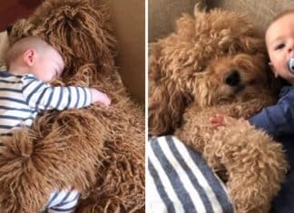 Bebê elege cachorro como seu melhor amigo e eles passam o dia agarradinhos