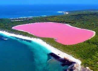 Conheça o fenômeno que deixa esse lago na Austrália cor de rosa