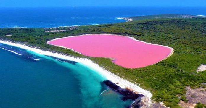 Conheça o fenômeno que deixa esse lago na Austrália cor de rosa
