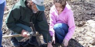 Para se redimir por ter ajudado a destruir o ecossistema, ex-carvoeiro planta 187 milhões de árvores Para se redimir por ter ajudado a destruir o ecossistema, ex-carvoeiro planta 187 milhões de árvores