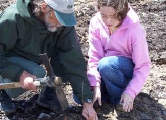 Para se redimir por ter ajudado a destruir o ecossistema, ex-carvoeiro planta 187 milhões de árvores