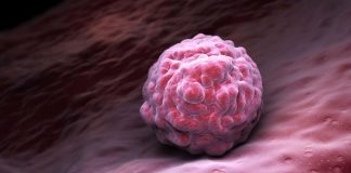 Biossensores que detectam câncer também poderão diagnosticar coronavírus