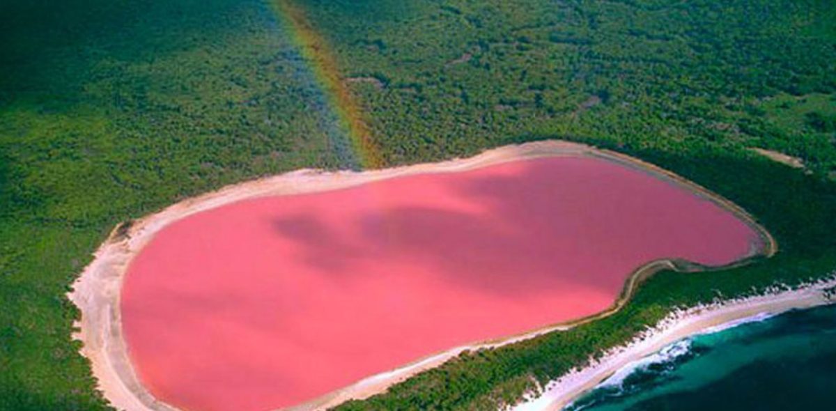 contioutra.com - Conheça o fenômeno que deixa esse lago na Austrália cor de rosa