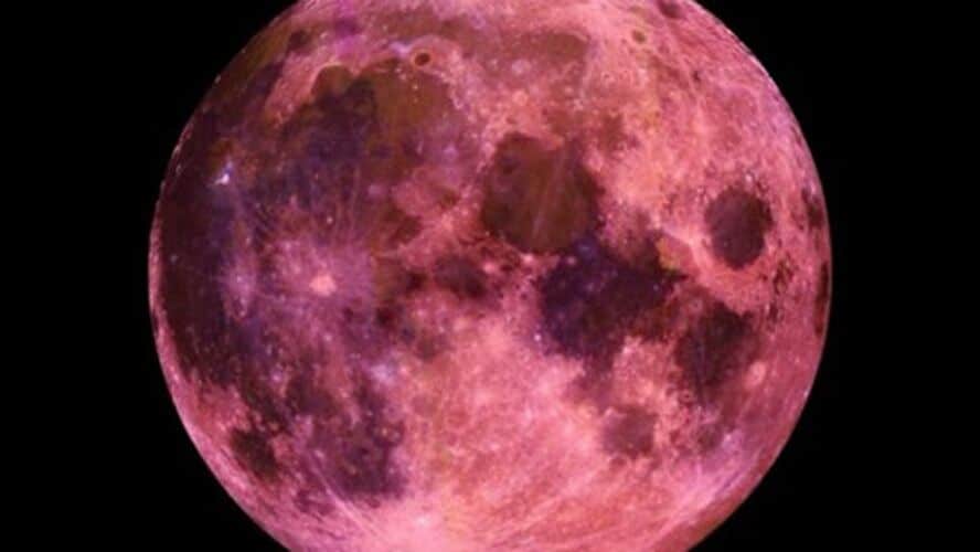 SUPERLUA ROSA acontece hoje. Organize-se e prepare-se para sua beleza. contioutra.com - SUPERLUA ROSA acontece hoje. Organize-se e prepare-se para sua beleza.