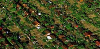 Conheça a cidade suiça onde cada habitante tem a sua própria horta